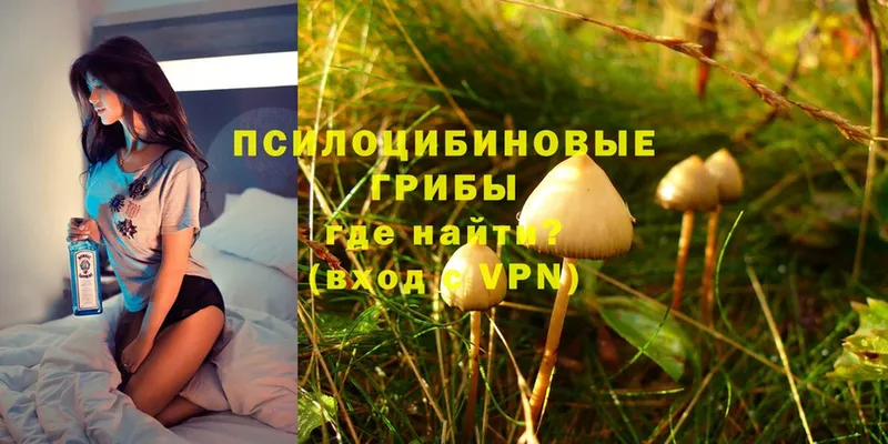 Галлюциногенные грибы Magic Shrooms  где найти   Калач 